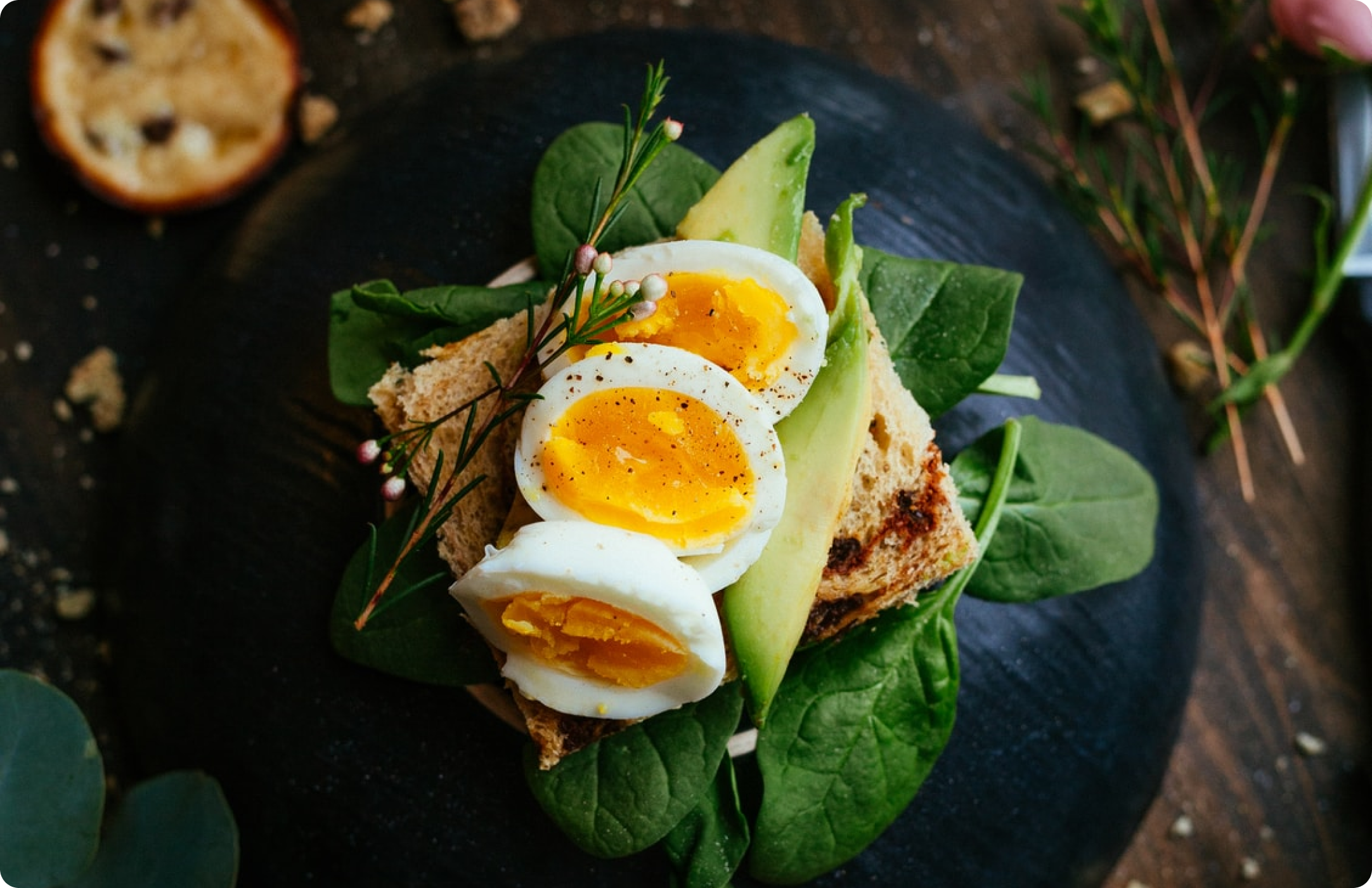 egg
