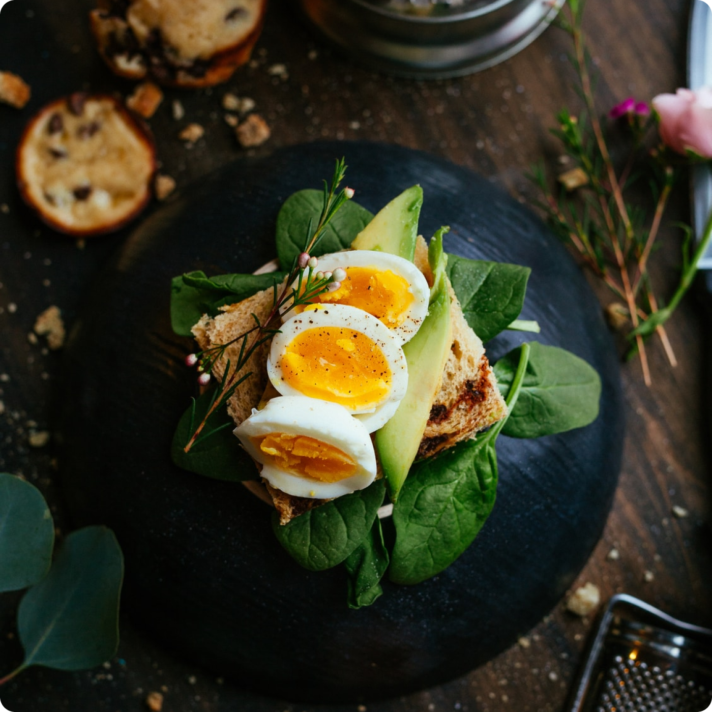 egg-photo